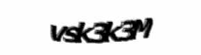 Security check image, please type the characters shown